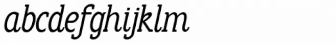 Anicon Slab Italic