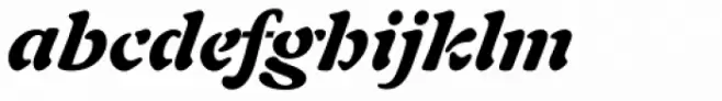Auriol Black Italic