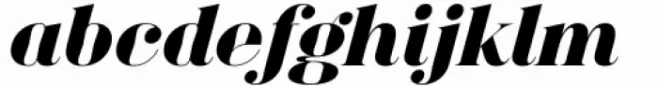 Bagoni Type Bold Italic