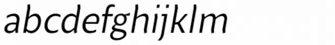 Beret Book Italic