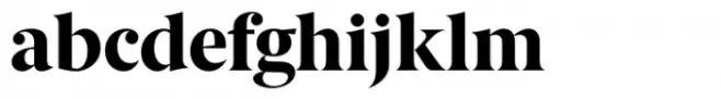 Berlingske Serif Std Extrabold