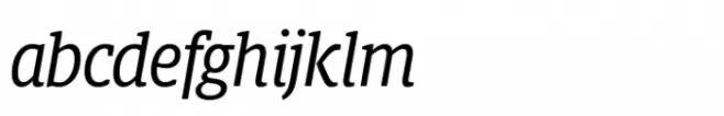 Berlingske Slab Display Std Italic