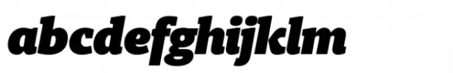 Berlingske Slab Std Poster Italic