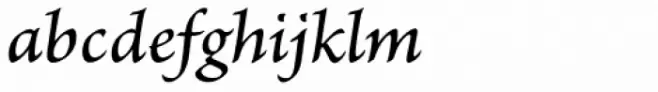 Brioso Pro Caption Medium Italic