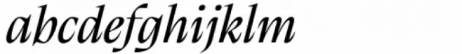 Calvino Grande Italic