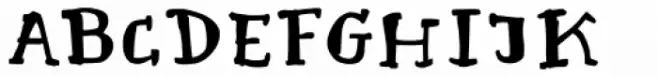 Cartographer