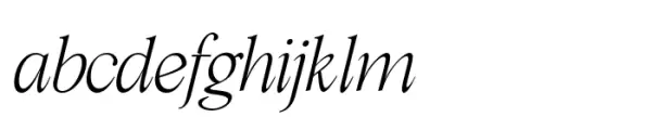 Cita Pro Thin Italic