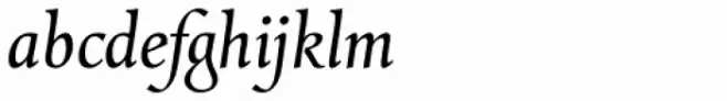Combi Italic Book