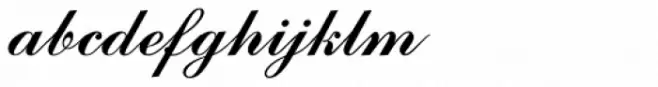 Commercial Script