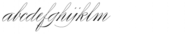 Compendium