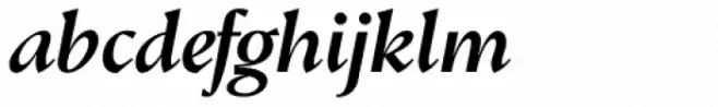 Conqueror Text Medium Italic