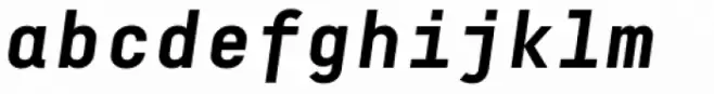 Decima Mono Cyr Bold Italic