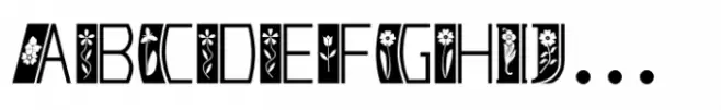 Deco Spring Flowers