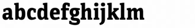 Directa Serif Bold