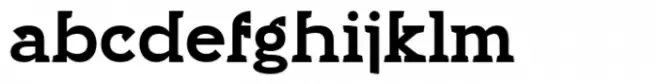 Dupont Serif Heavy
