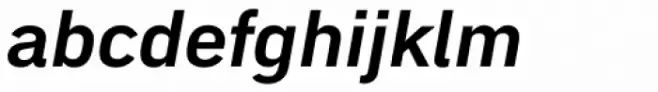 Embarcadero MVB Pro Bold Italic