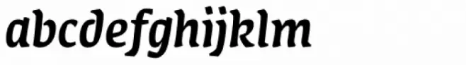 FF Amman Serif Pro Med Italic