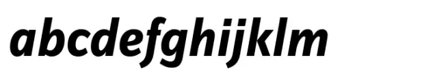 FF Zine Sans Display Bold Italic