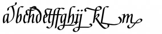 Gaius Bold Ligatures
