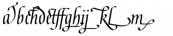 Gaius Ligatures