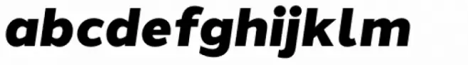 Halcom Black Italic