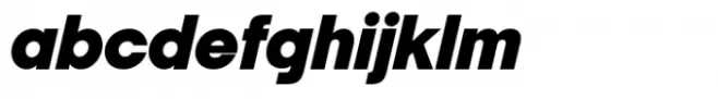 Italian Plate No2 Expanded Std Black Italic