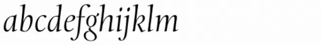Levato Pro Light Italic