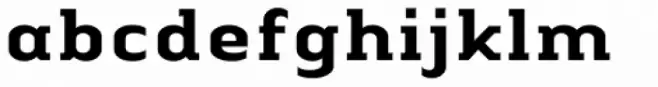 Linotype Authentic Serif Std Medium