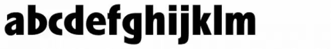 Linotype Spitz Black