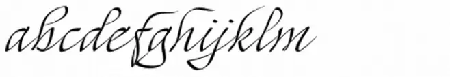 Mayence Standard