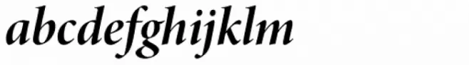 Minion Pro Display Bold Italic