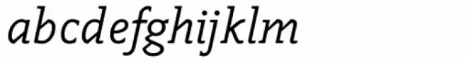 Napoleone Slab Italic