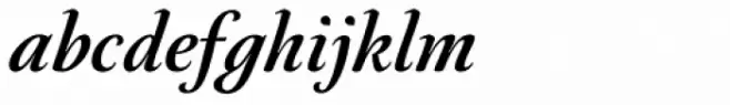 Neftali Pro Italic