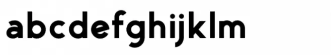 Neue George Pro Bold