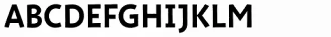 New Jonesy Latin Rough Capitals