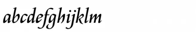 Philomela Italic Medium