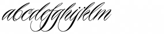 Piel Script