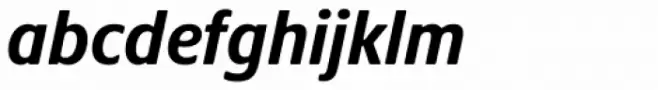 Praxis Next Cn Bold Italic