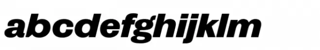 Publish Gothic Expanded Std Black Italic