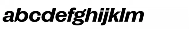 Publish Gothic Expanded Std Bold Italic