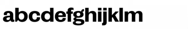 Publish Gothic Expanded Std Bold