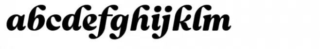 Reigo Black Italic