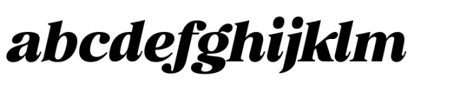 Retro Voice Black Expanded One Italic