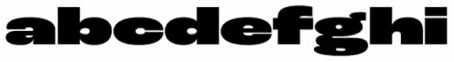 Roc Grotesk Extra Wide Heavy