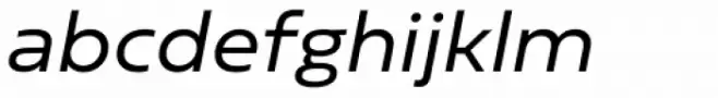 Sarun Pro Book Italic