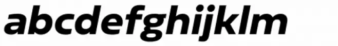 Sarun Pro Heavy Italic