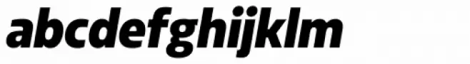 Sarun Pro Narrow Black Italic