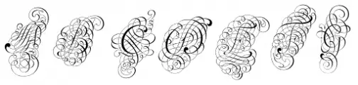 Schwandner Versalia