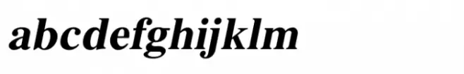 Shree Devanagari 1018 Italic