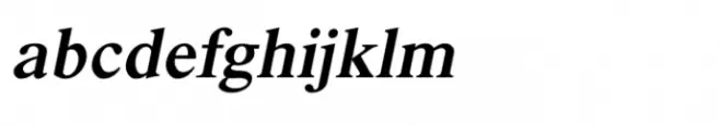Shree Devanagari 1056 Bold Italic